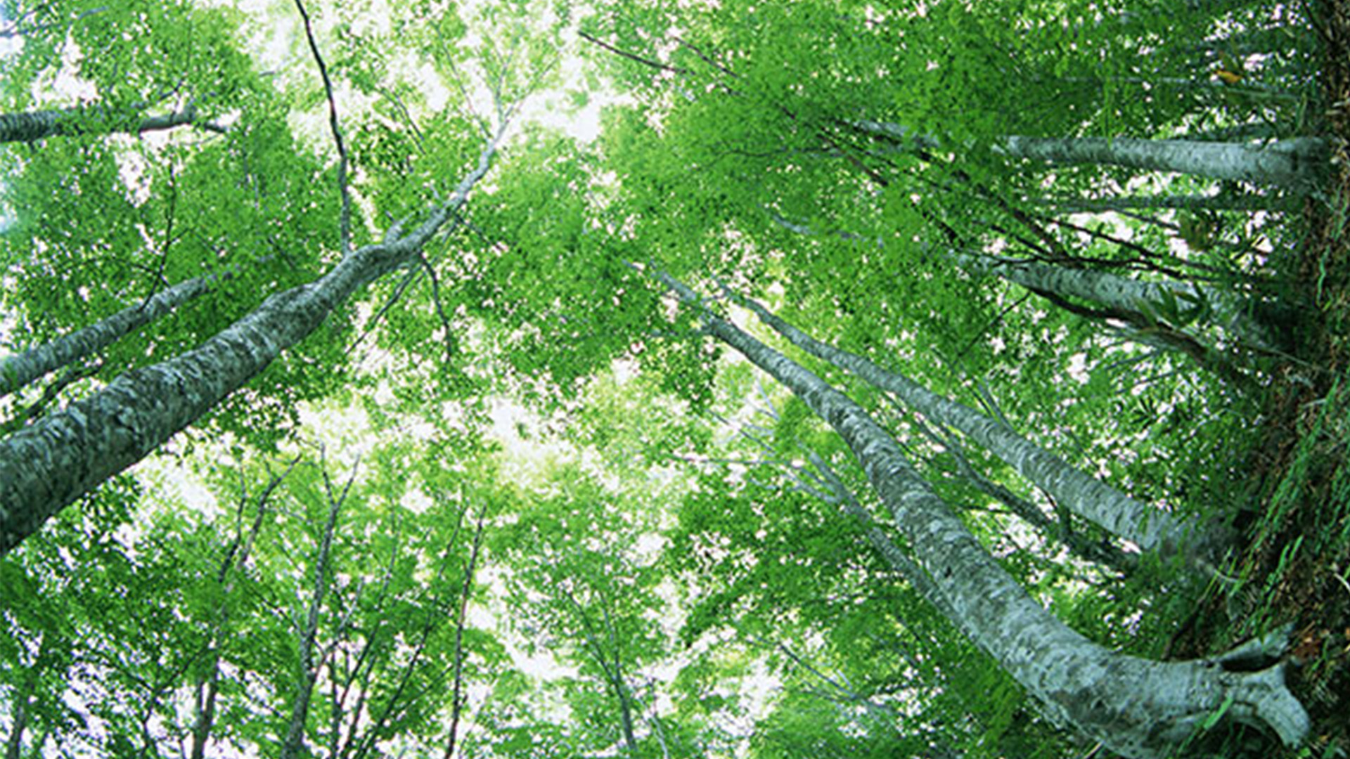 株式会社カミックス　環境にやさしい会社